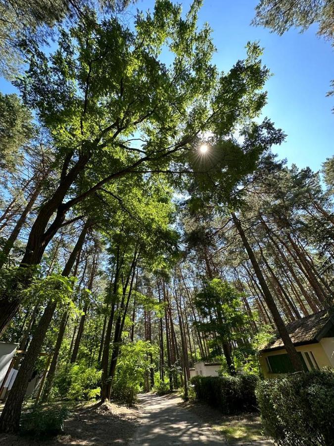 Summer House ลุบเนียวิตแซ ภายนอก รูปภาพ