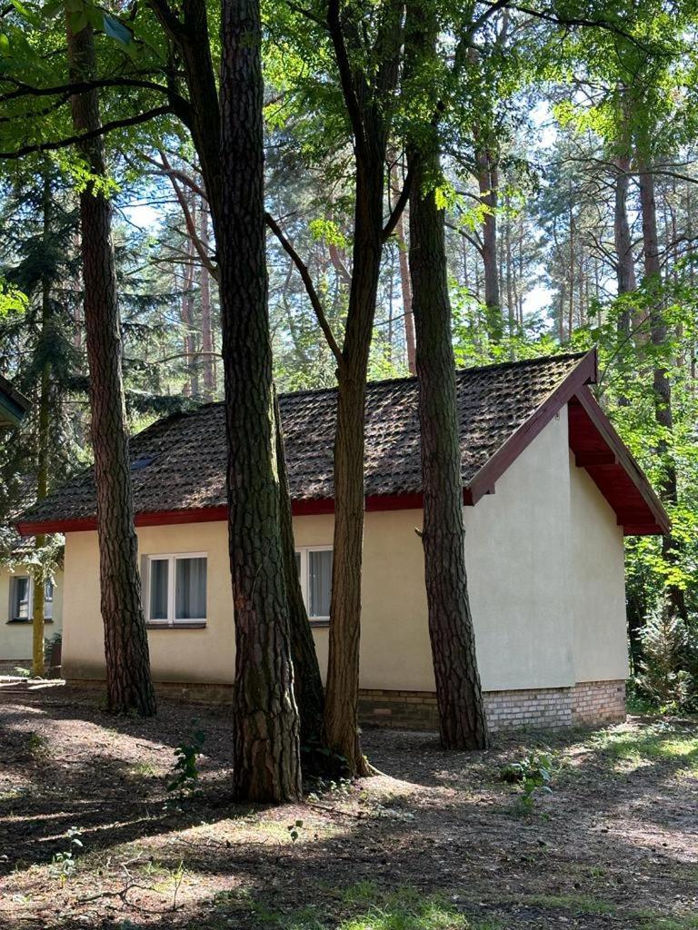 Summer House ลุบเนียวิตแซ ภายนอก รูปภาพ